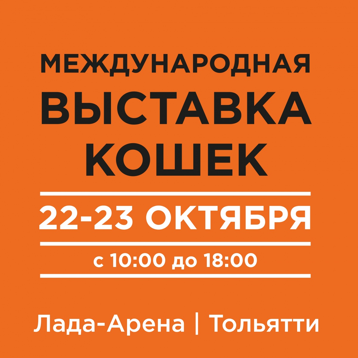Международная выставка кошек октябрь 2016